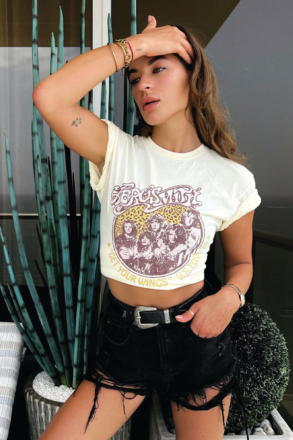 Aerosmith Wings 74' Stanley Tee