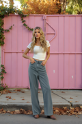 Gray Moonlight Trousers