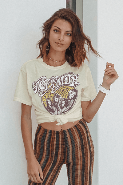 Aerosmith Wings 74' Stanley Tee