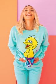 Big Bird Sweater - Life Clothing Co