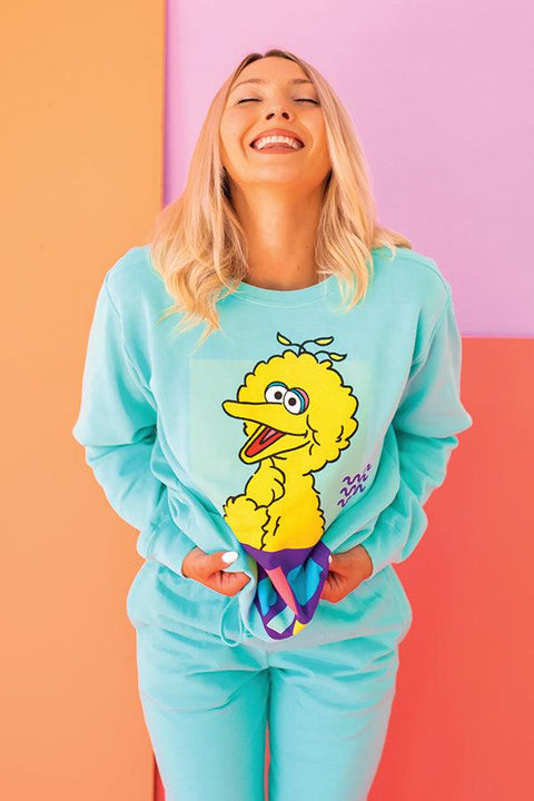 Big Bird Sweater - Life Clothing Co