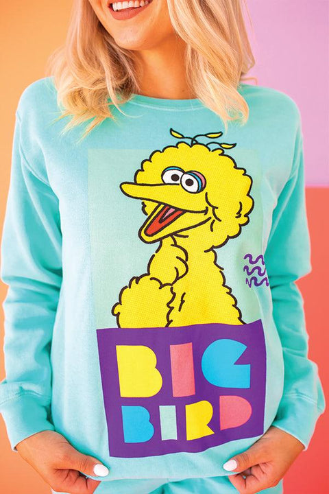 Big Bird Sweater - Life Clothing Co