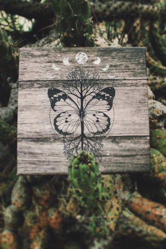 Dreamin' Butterflies Art Canvas - Life Clothing Co