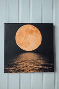 The Light of the Moon Art Canvas - Life Clothing Co