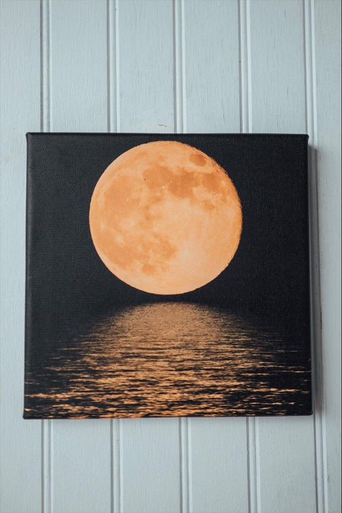 The Light of the Moon Art Canvas - Life Clothing Co