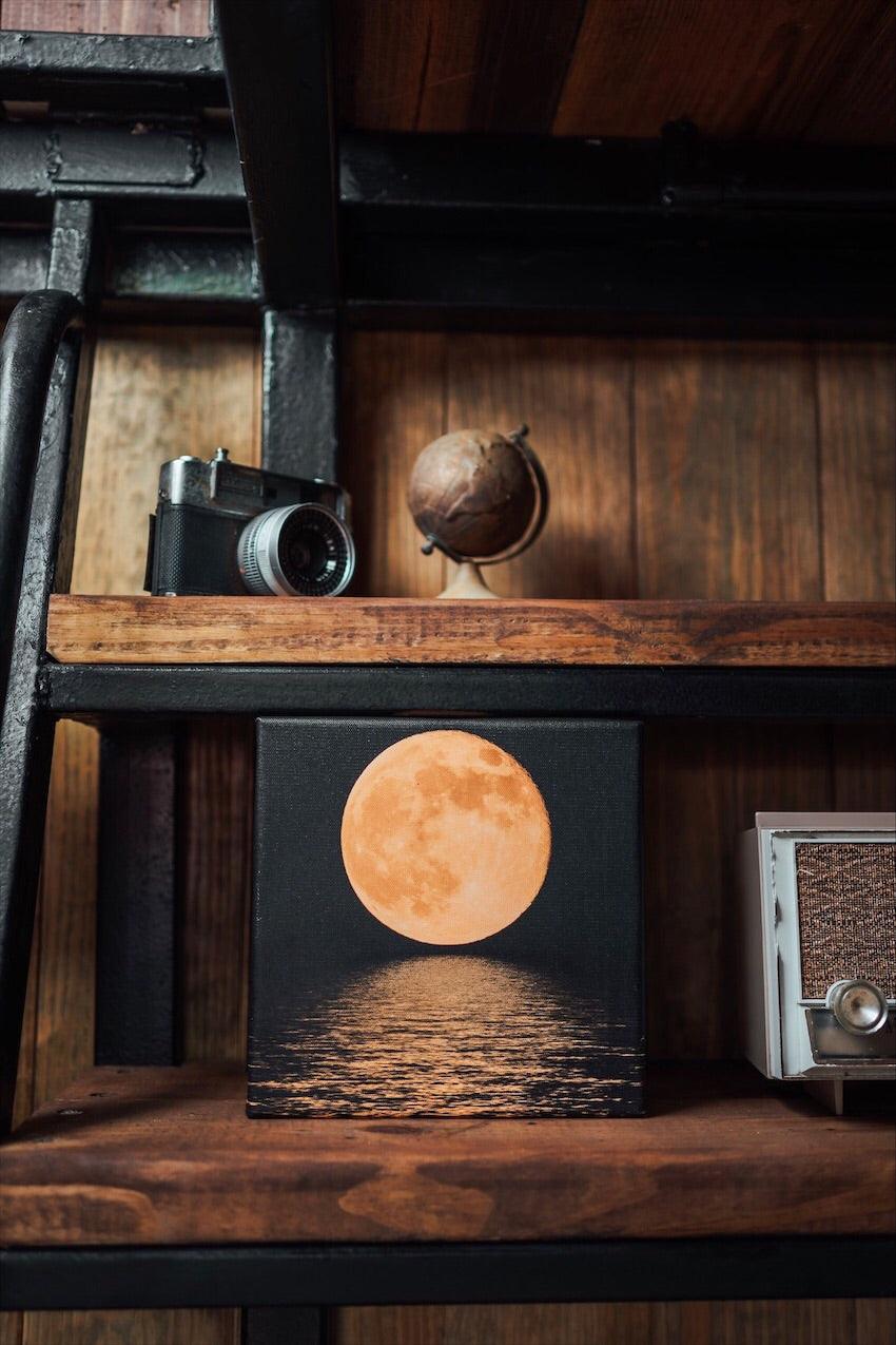 The Light of the Moon Art Canvas - Life Clothing Co